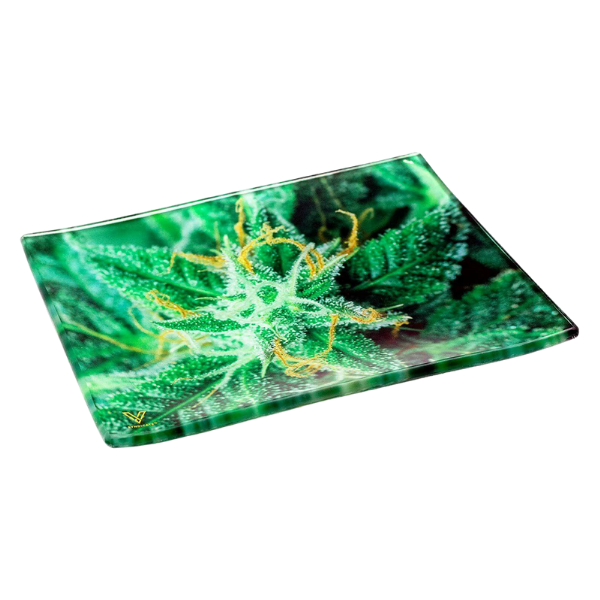 Vsyndicate Survivor Glass Rollin' Trays / Medium / AK 47